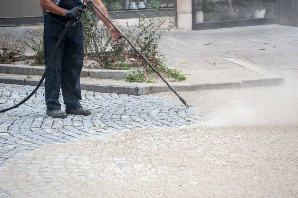 Best House Exterior Washing  in Woody, WA
