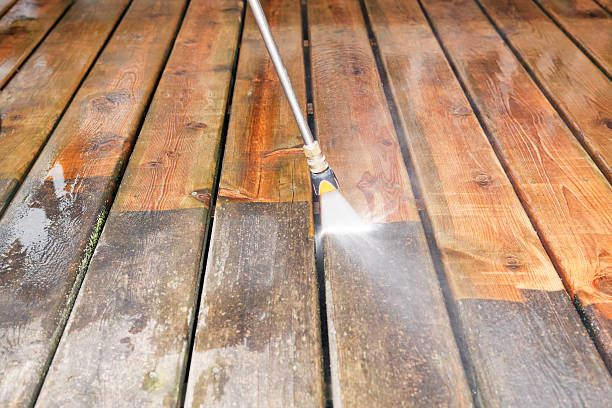 Best Animal Enclosure Cleaning  in Woody, WA