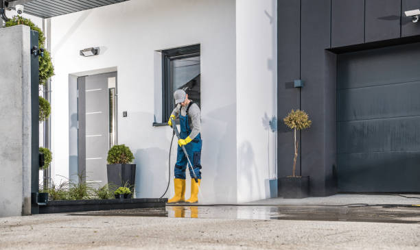 Best Fleet Vehicle Washing  in Woody, WA